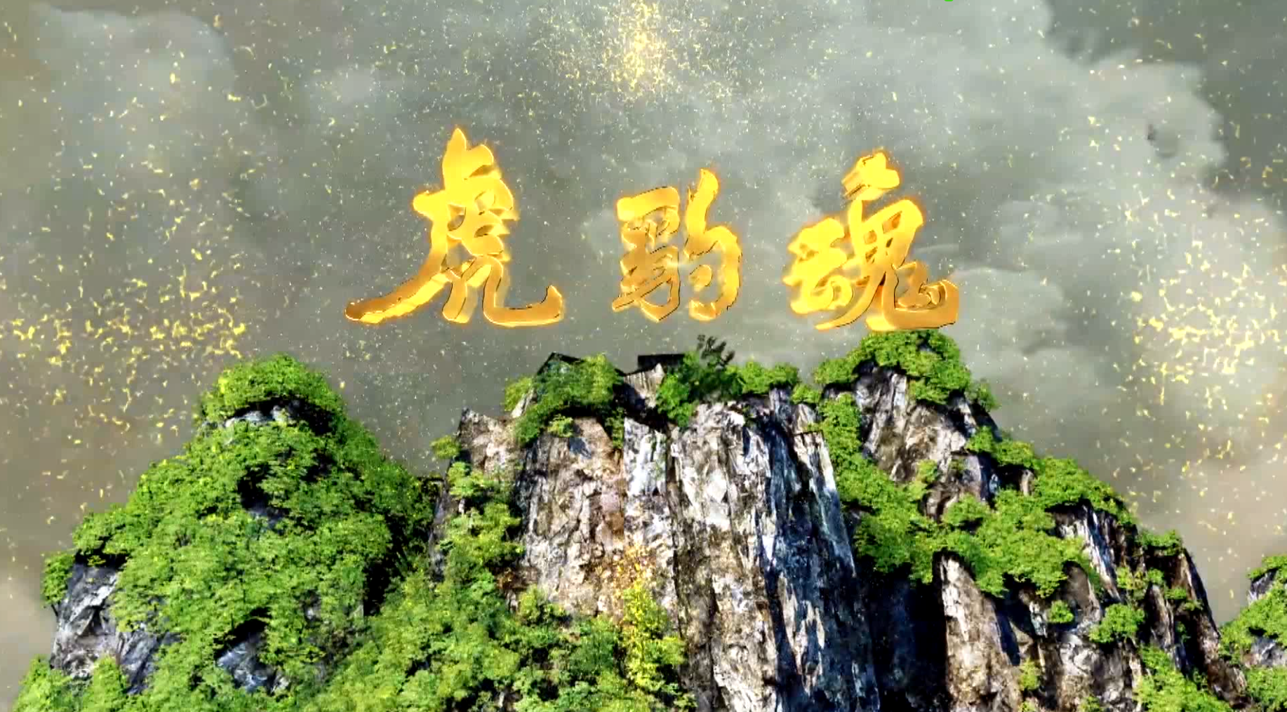 “虎豹魂”虎豹集团三十周年华诞宣传片